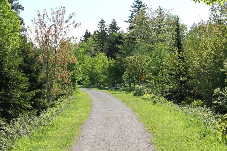 Confederation Trail, at the back of the property.  Great for walking or biking!