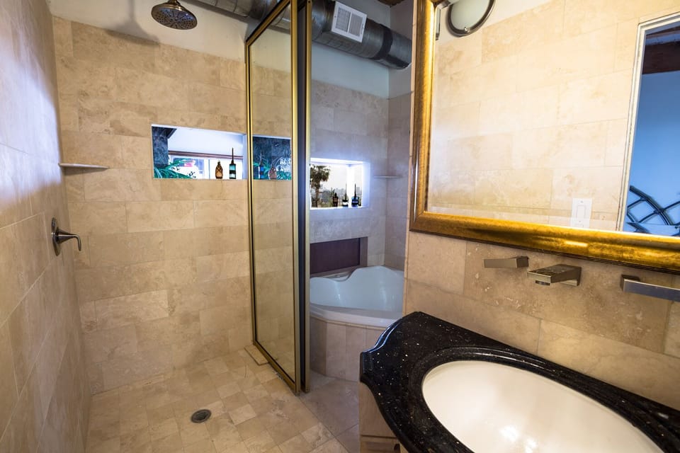 Bathroom with rainfall shower and jacuzzi tub.