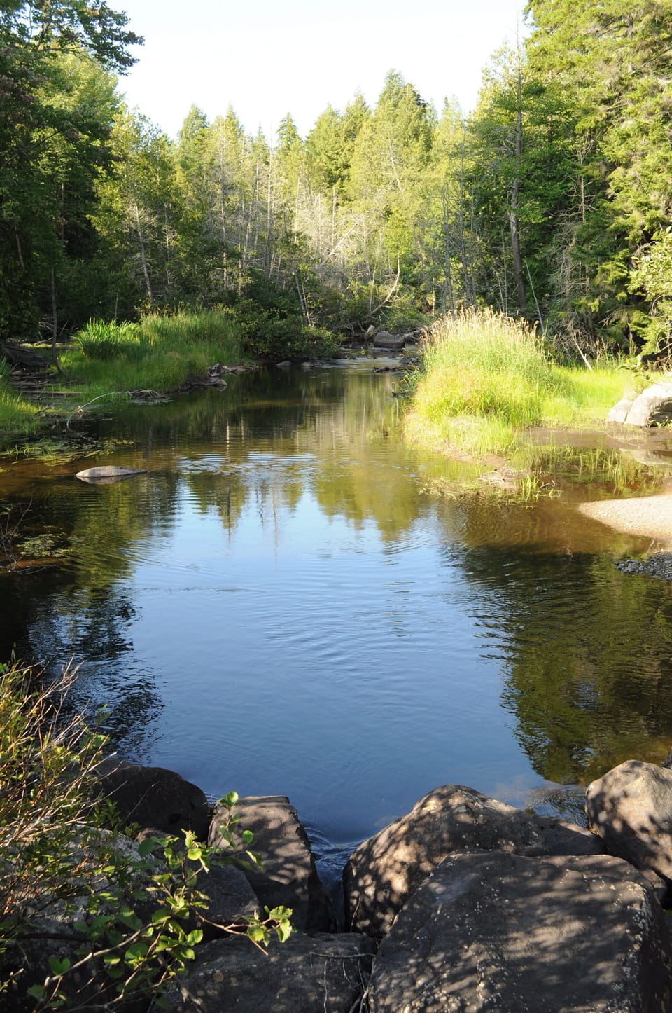 The river downstream a bit