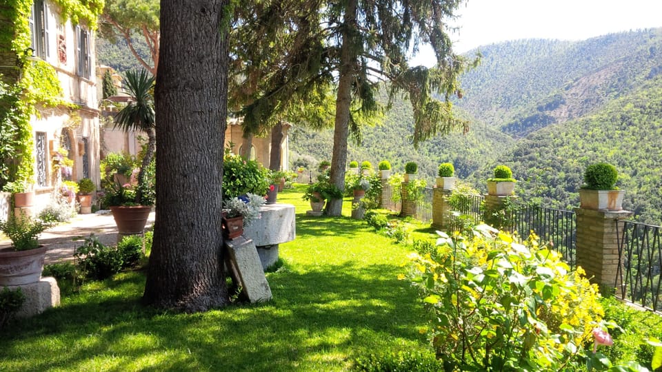 The Garden