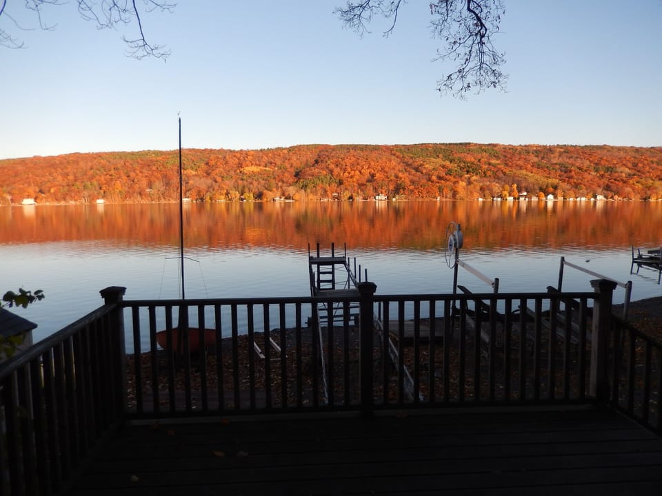 Fall view