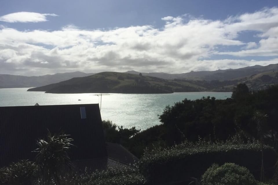 view from living area