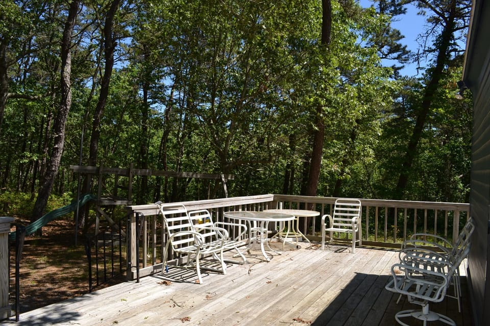 Deck and back yard