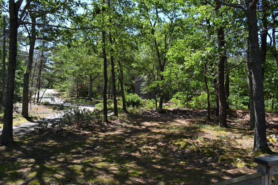 View from front entry