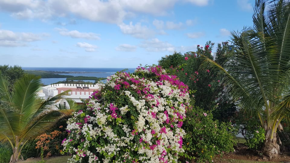 Entering the villa - great view of the setting - flowers and the Atlantic 