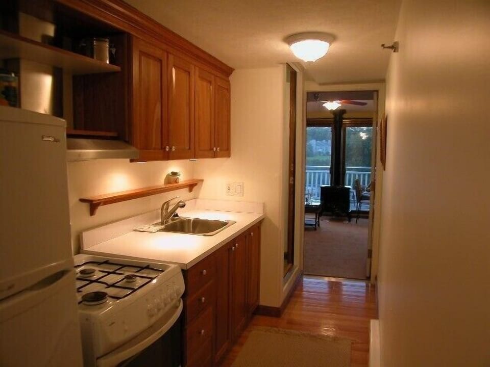 Lower Level second galley kitchen