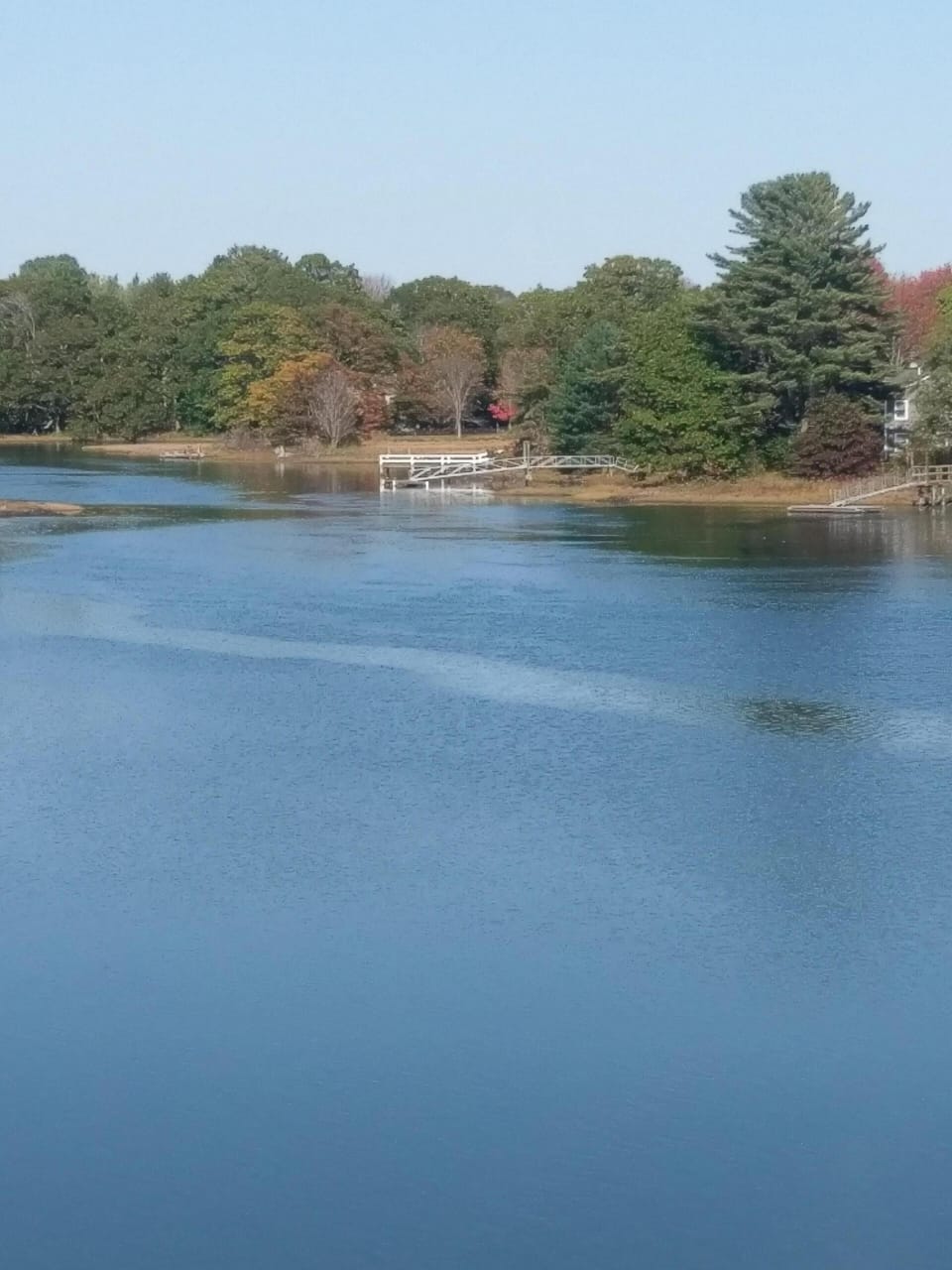 View from porch looking up river
