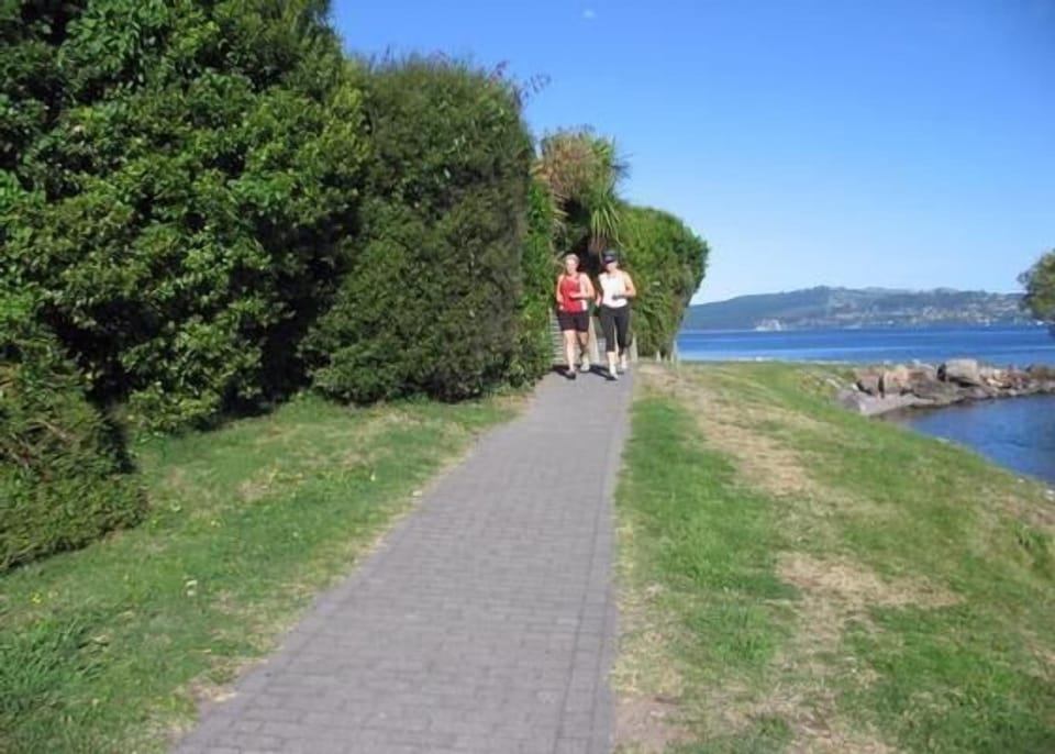 Lions Walk, directly below property