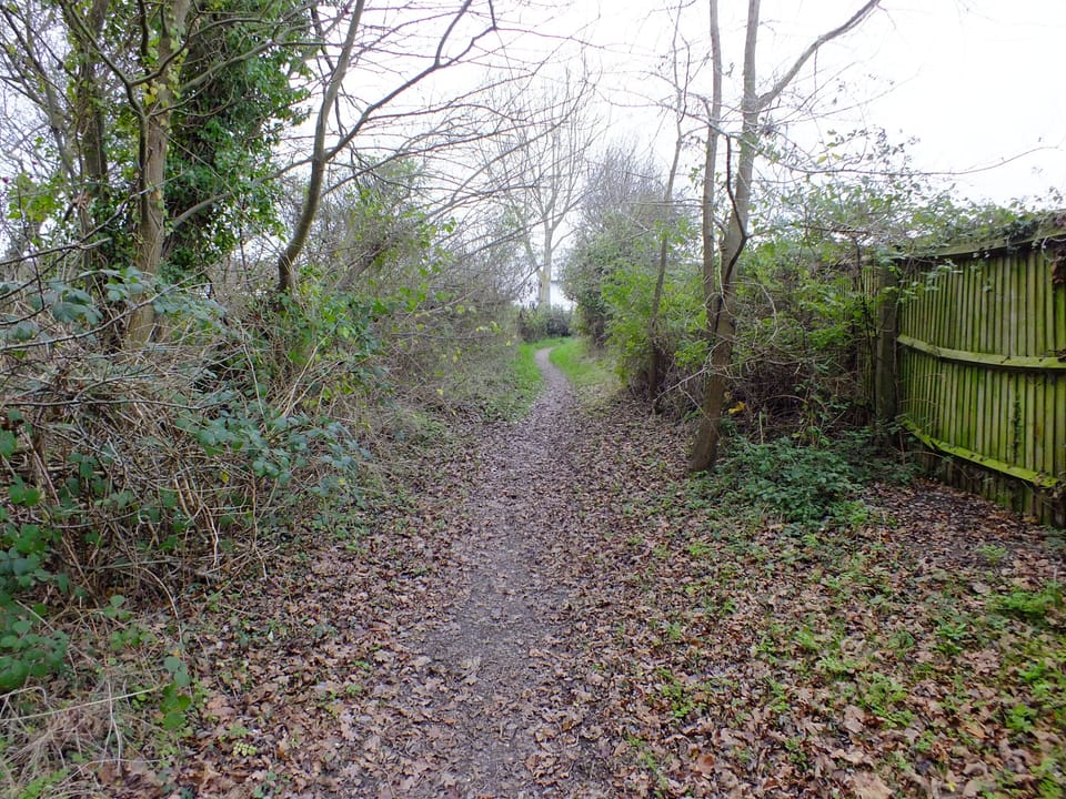 Doggy walking track adjacent to Chalet.
