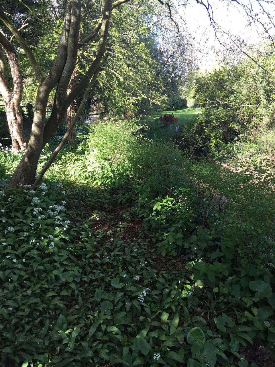 end of garden, edging the washford river