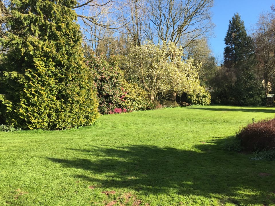 beautiful garden