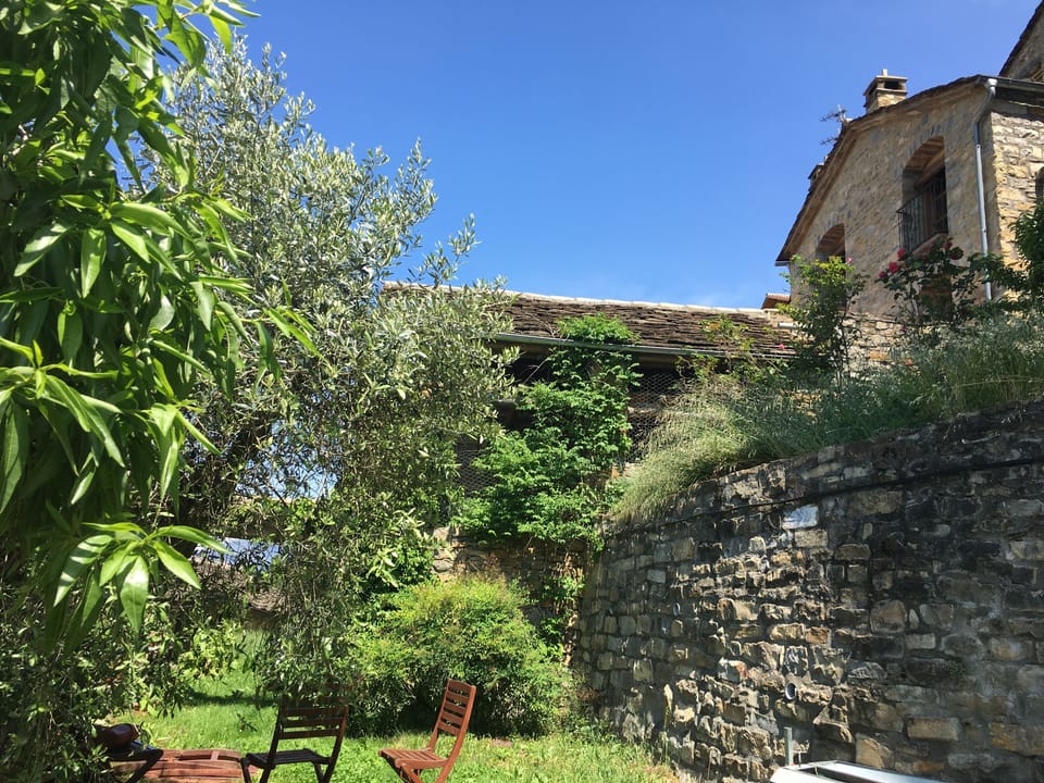 Exterior of Nº7 from garden