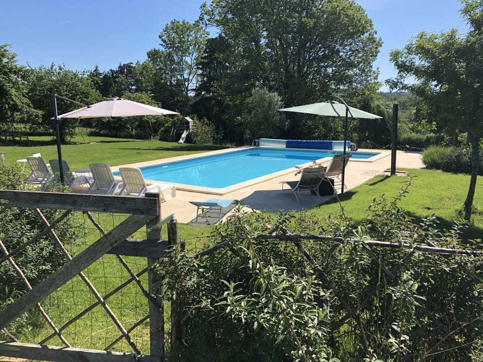 Pool and garden