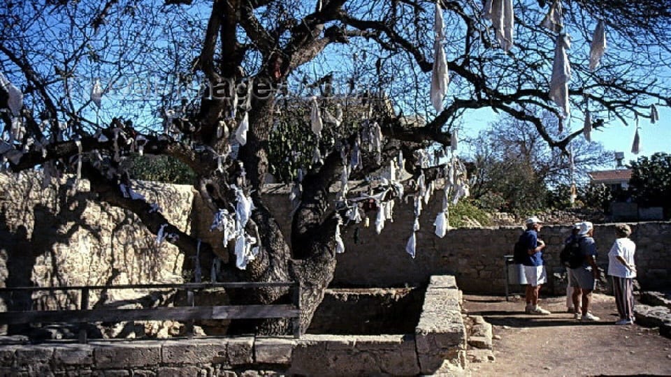 Tourist wishing tree in Paphos