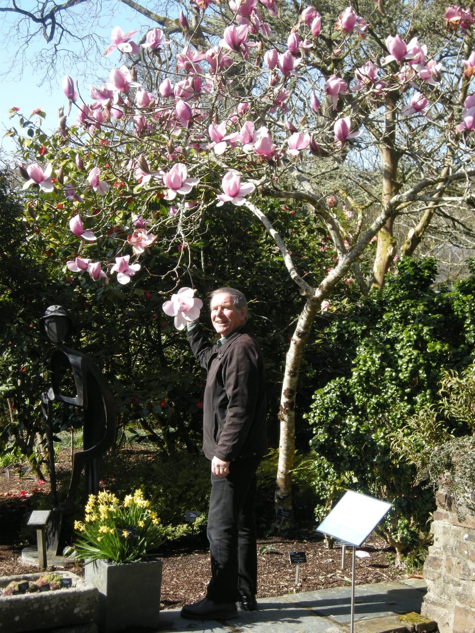 At RHS Rosemoor