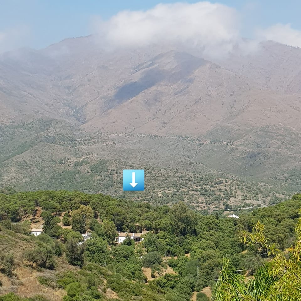 The finca is in the foothills of Sierra Bermeja, surrounded by trees