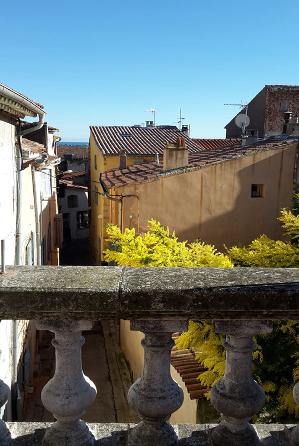 View from property