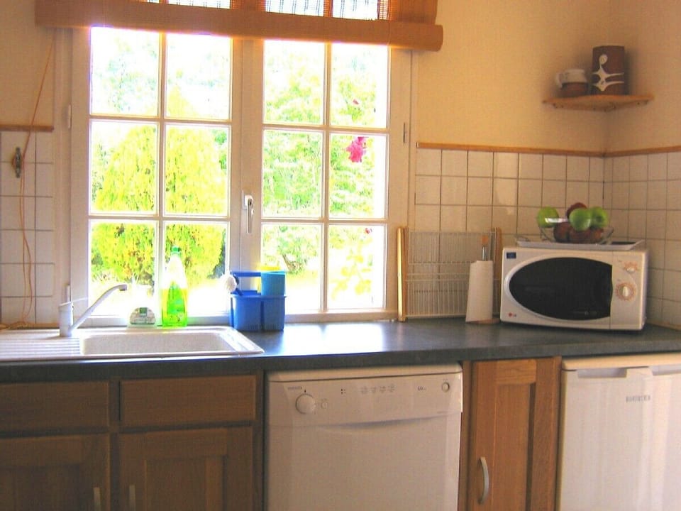 Kitchen looking out onto garden