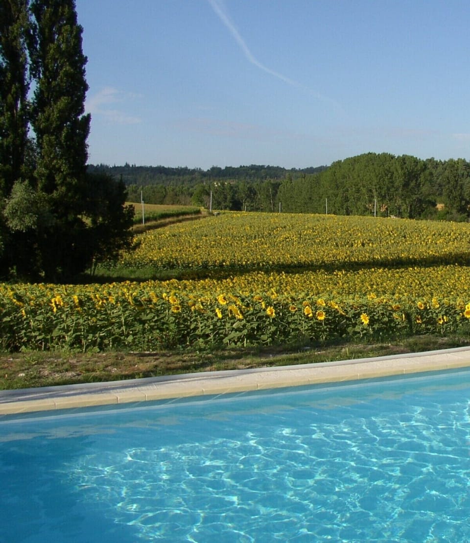 A pool with a view