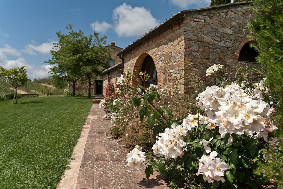 Annexe and garden