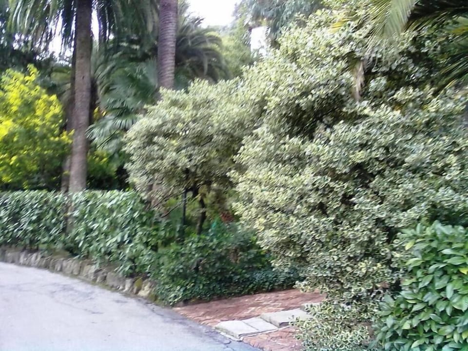 Garden, Park