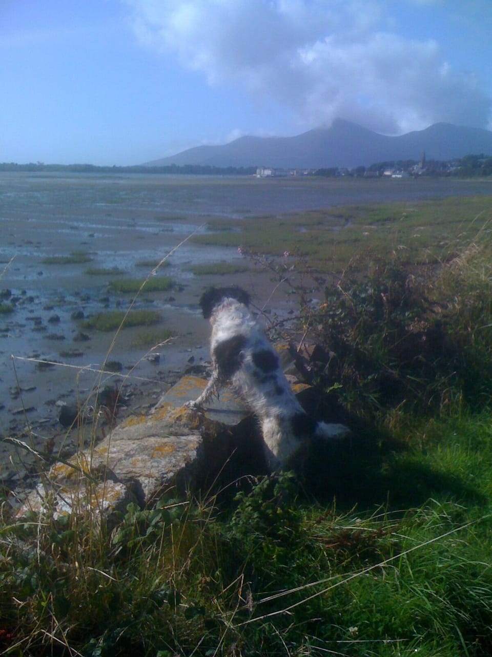 View of the Mournes from Dundrum 