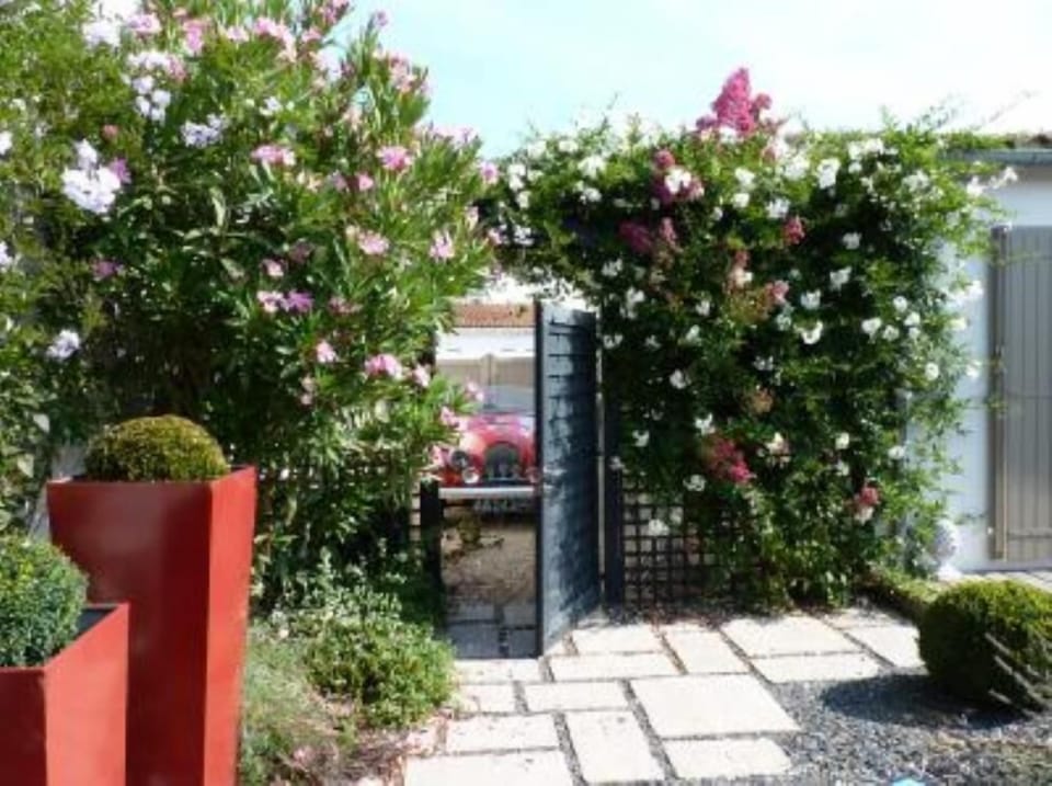 Garden, Park