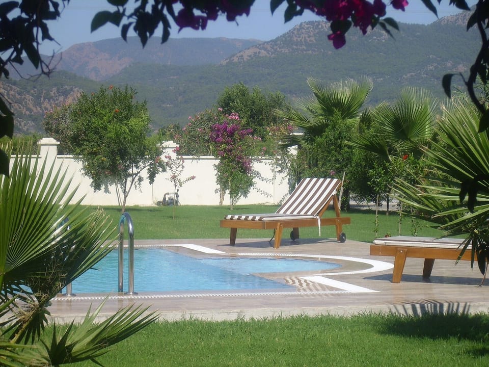 View from terrace