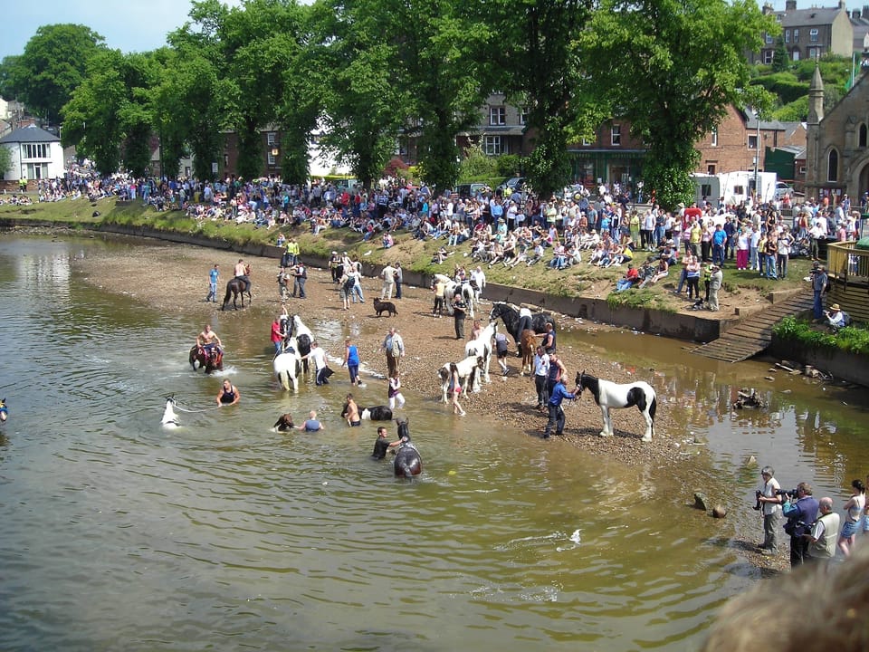 Horse Fair - River Eden