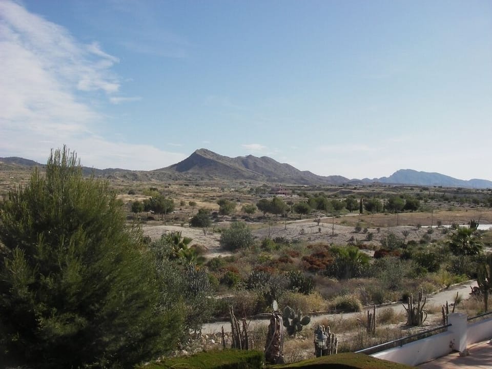View from the Balcony