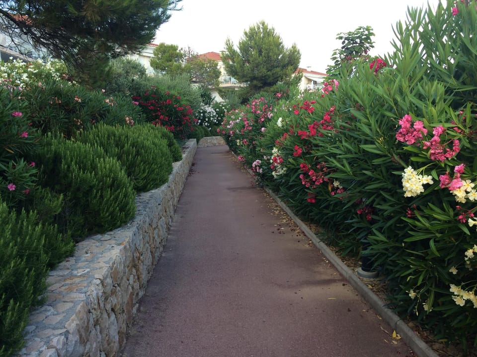 Landscaped gardens in the Juan Flore Domain