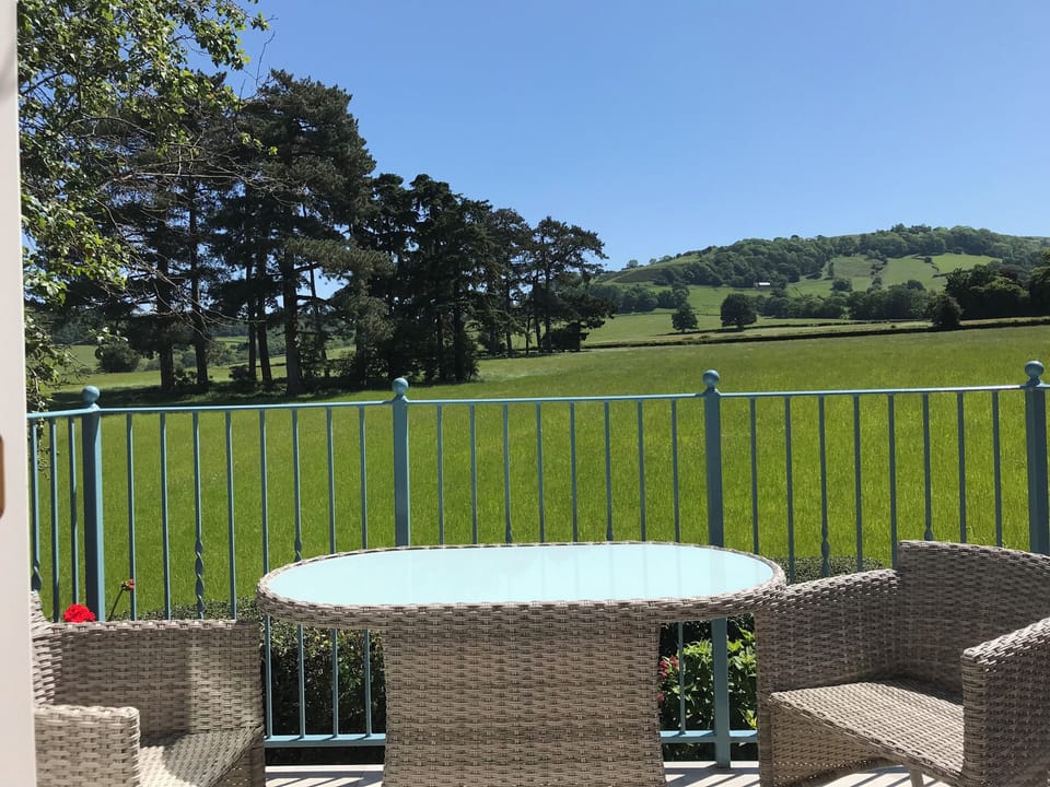 View from balcony
