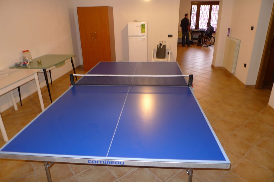 Full size ping pong table