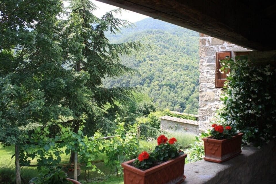 view from the porch
