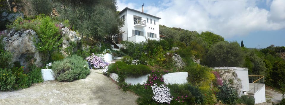 House and garden