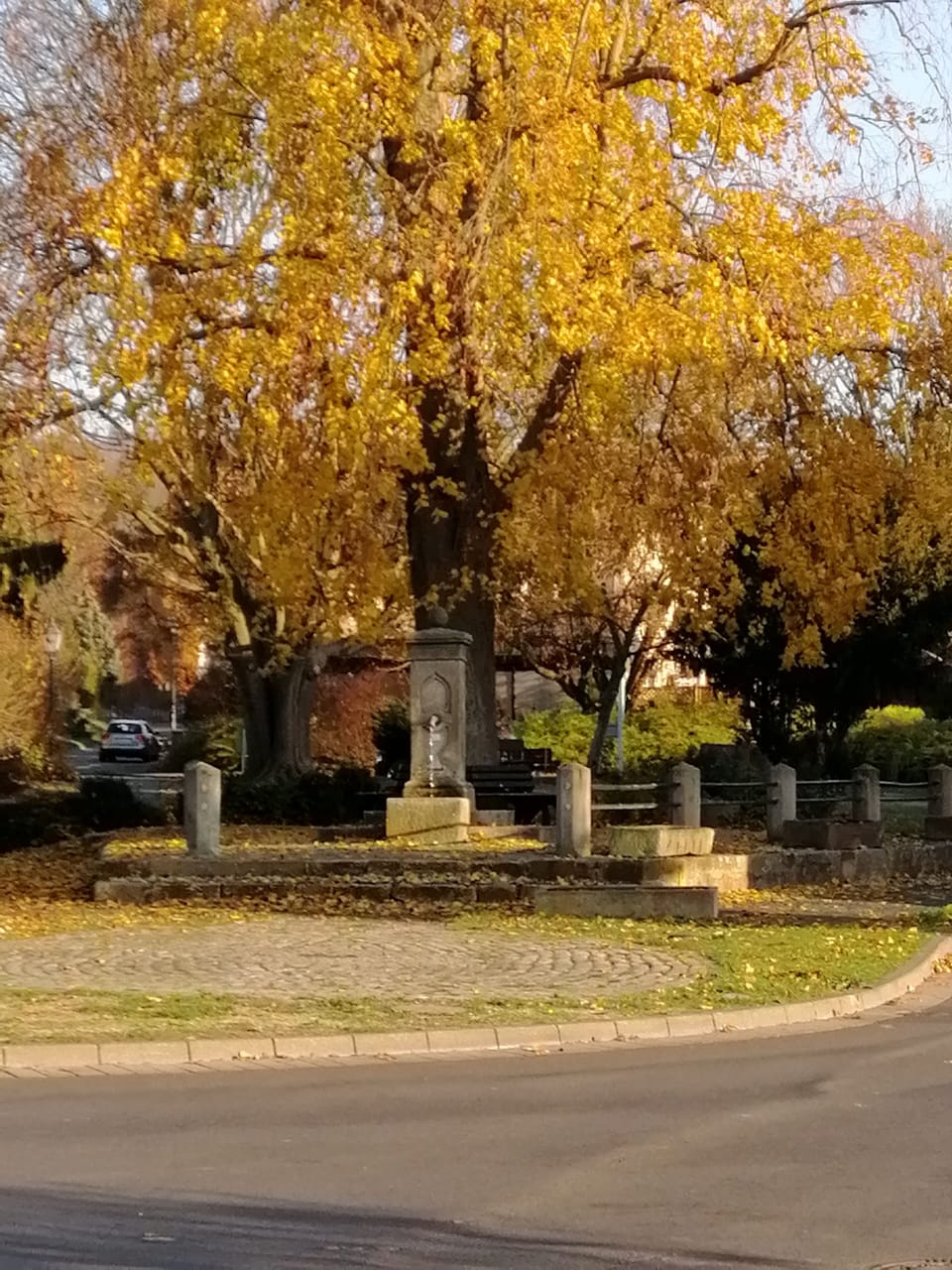 Property grounds