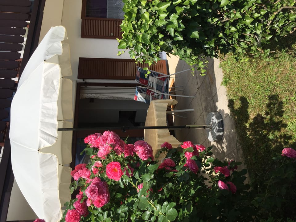 Early summer on the front terrace.
