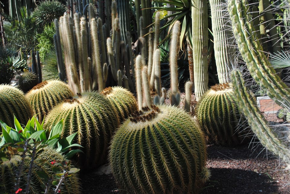 Garden at etche