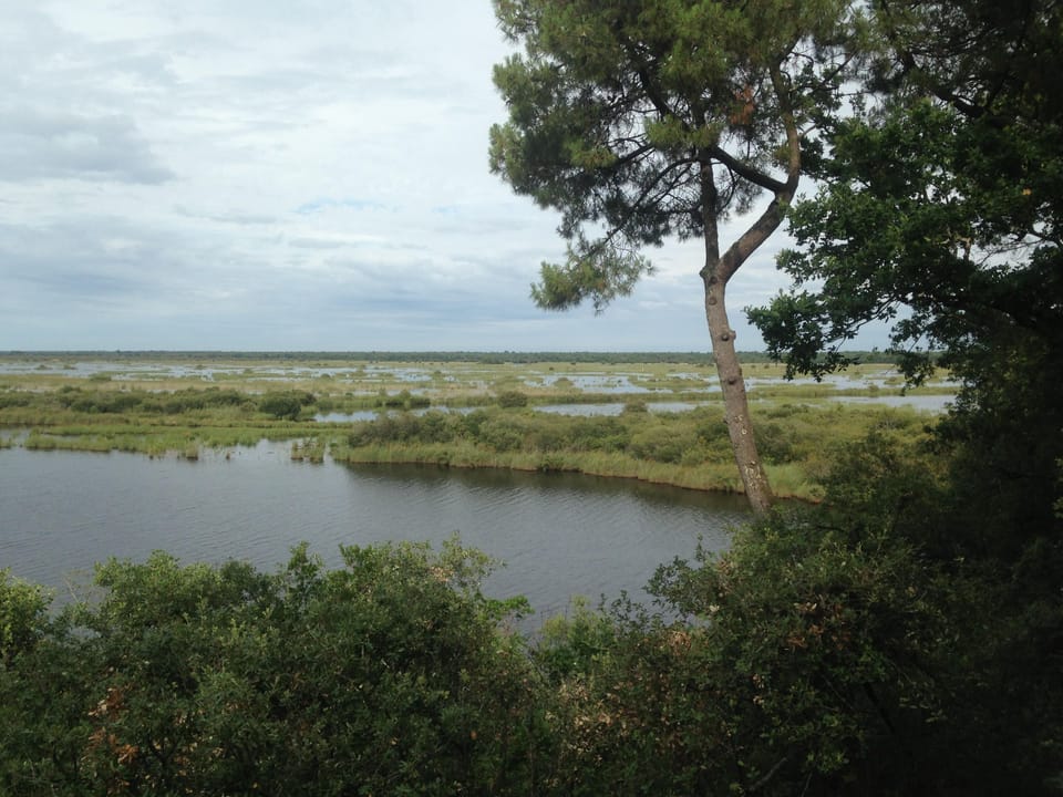 Lake