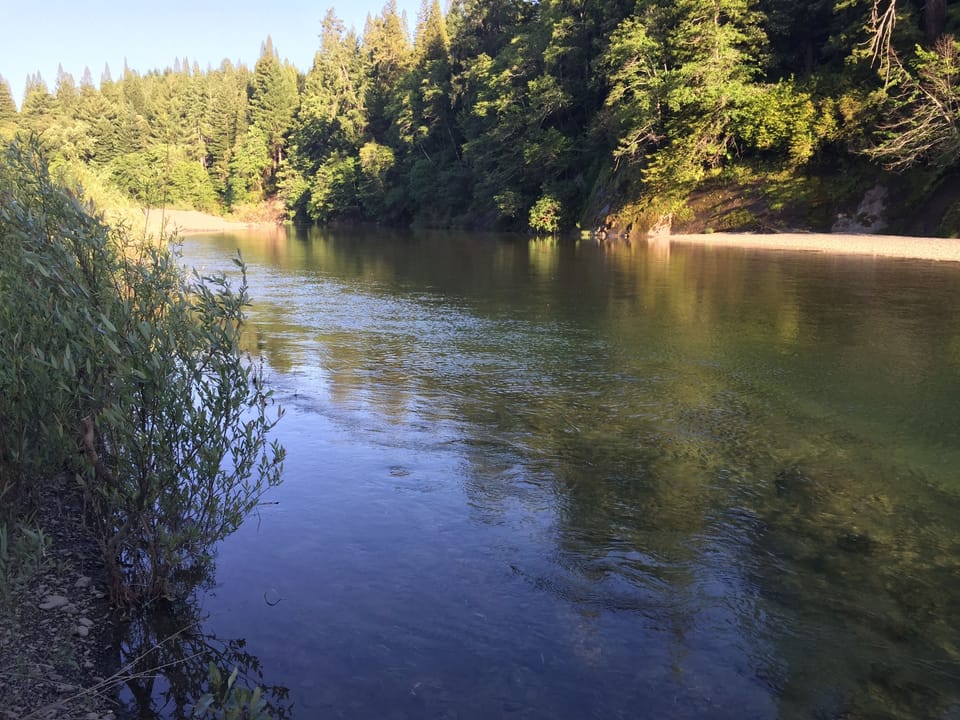 River and beach right below cabin 