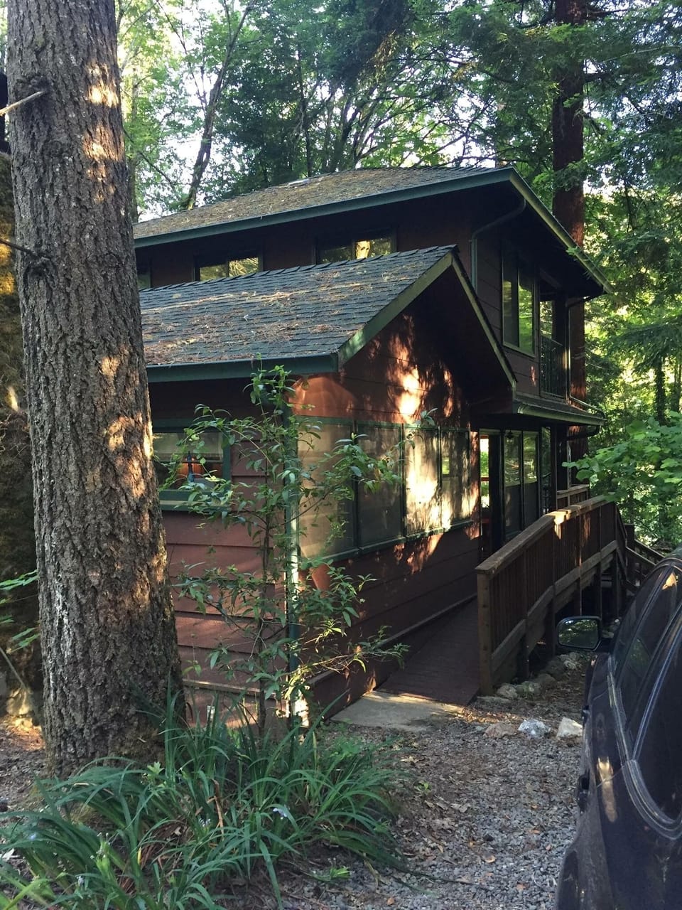 View from driveway
