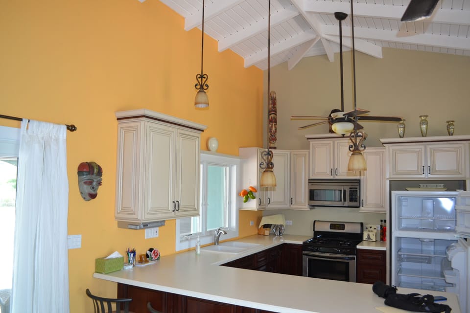 Kitchen and breakfast counter