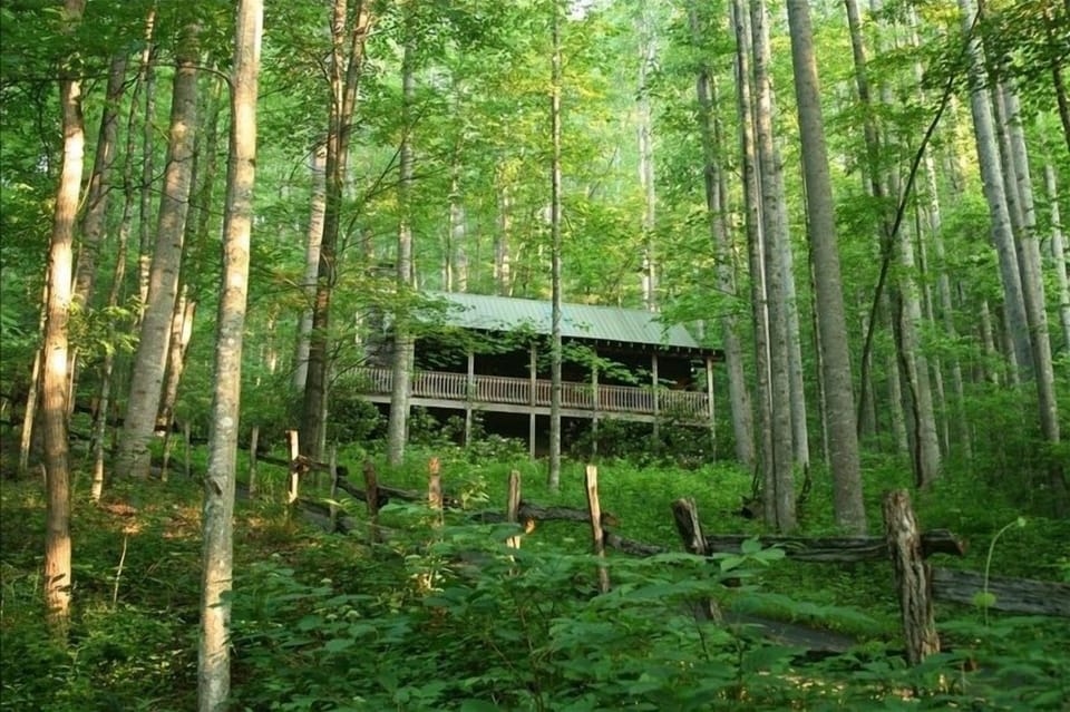 A quiet woodland setting
