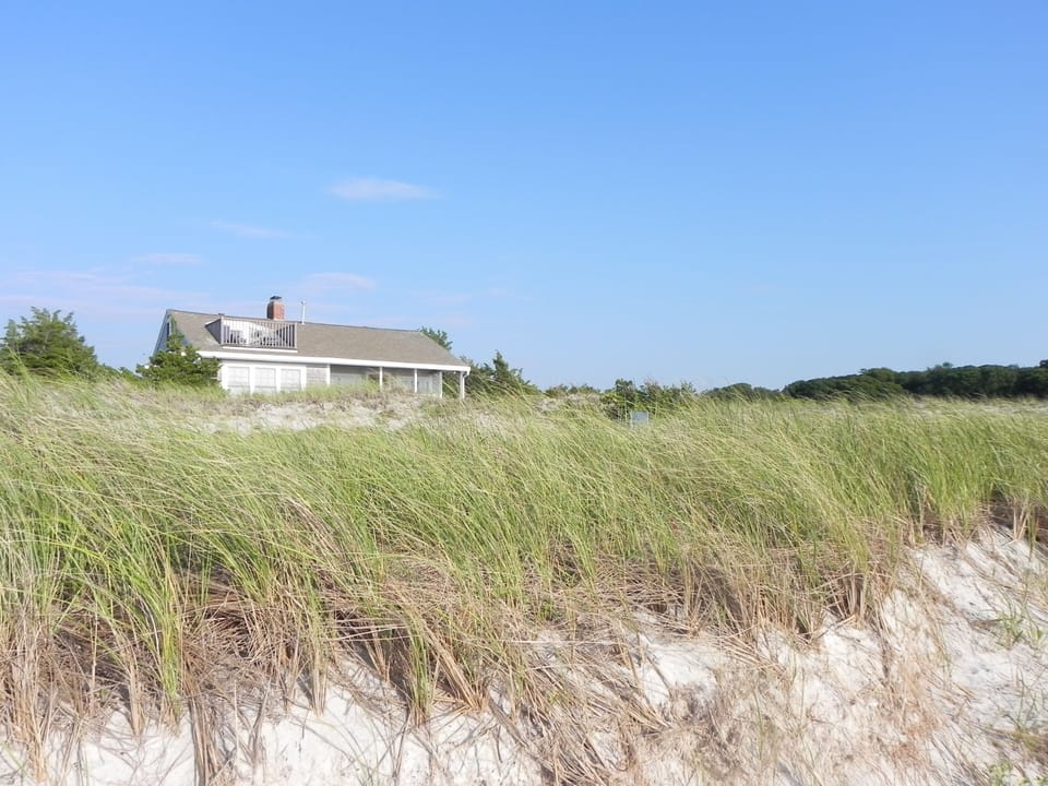 from the edge of the beach