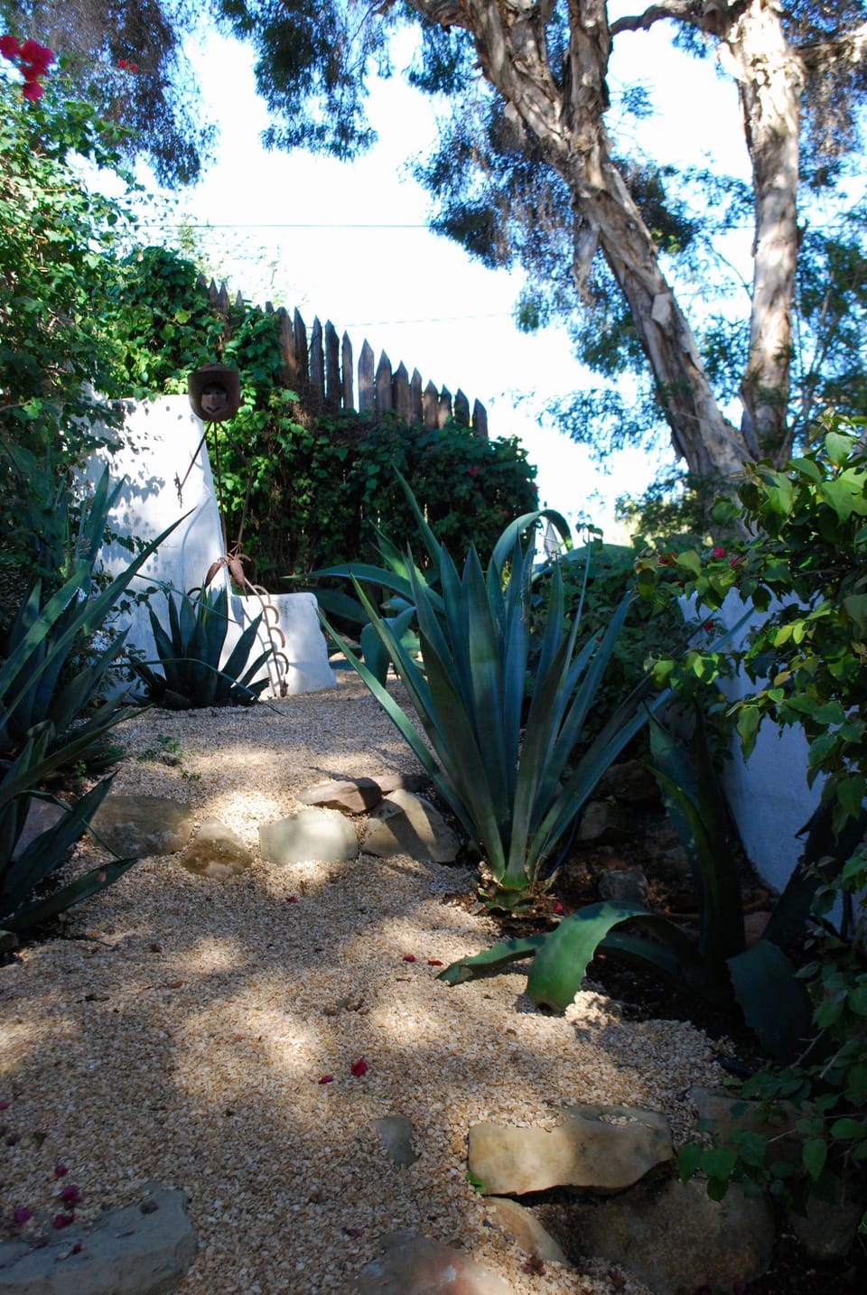 Patio Garden