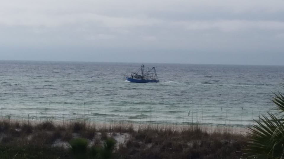 Amazing fishing trips here on the beach