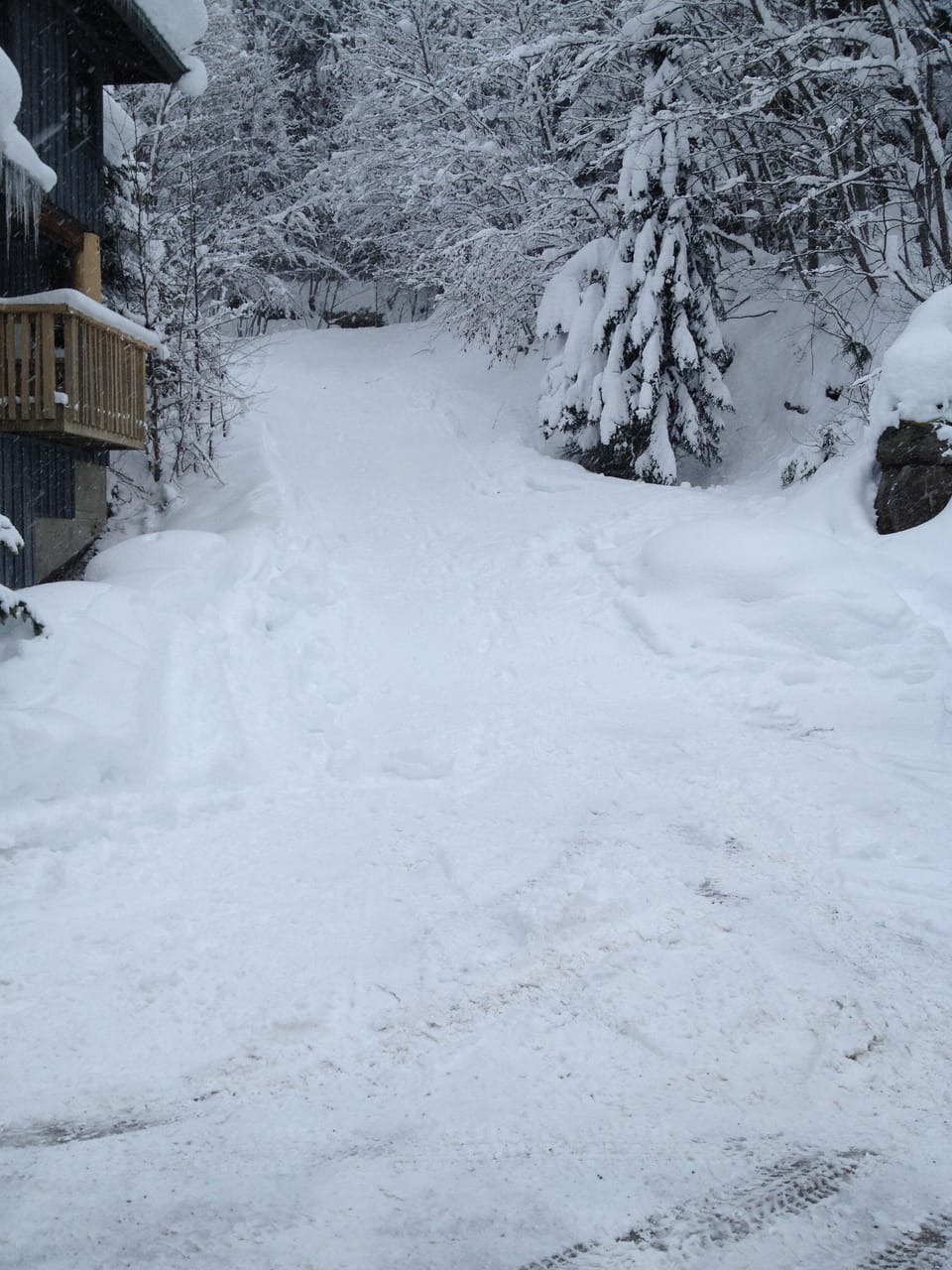 Taluswood ski in trail