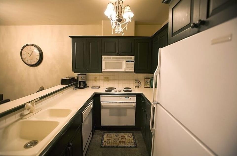 Fully stocked kitchen with new microwave and large fridge