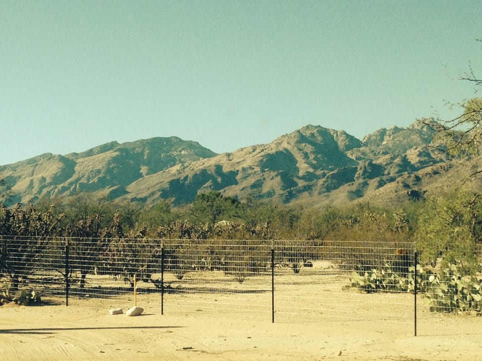 Santa Catalinas facing northwest from the casita.