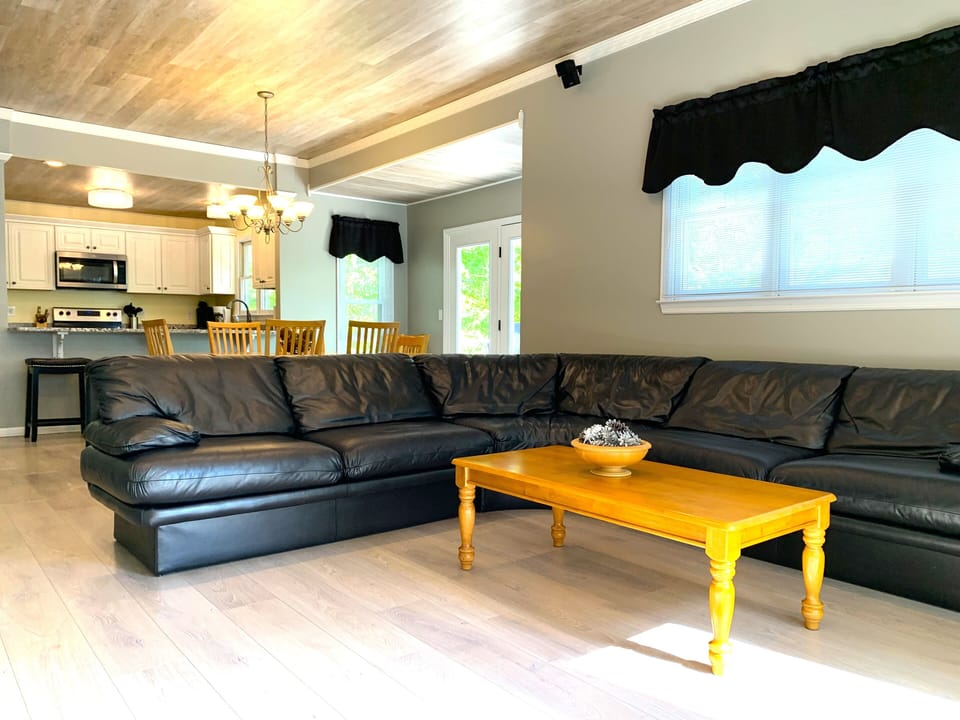 New leather sofa and window treatments